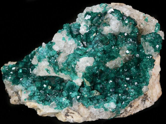 Gemmy Dioptase Cluster on Calcite - Kazakhstan #44659